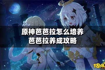 原神2.6芭芭拉怎麼培養 芭芭拉養成攻略