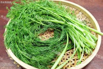 「濕氣」最怕這種菜，比吃蘿蔔、白菜還養人，祛濕健脾又開胃