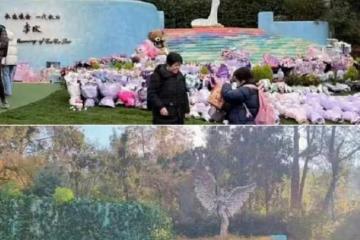 二姐回應李玟墓地雜草叢生:家屬同意整改,墓地被粉絲直播打擾
