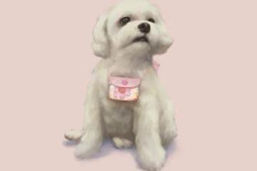 崔佩儀愛犬離世 兒子貝克宇寫曲紀念太催淚