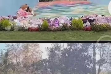 李玟墓地被曝雜草叢生,鮮花擺放凌亂不堪!墓園回應讓粉絲沉默!