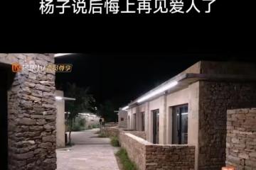 《再見愛人4》沒有劇本的證據找到了，楊子後悔參加再見愛人