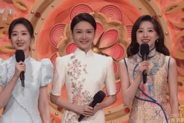 下一個張蕾？央視一姐王嘉寧選擇事業巔峰期結婚，網友：自毀前程