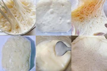 波蘭種、中種、老面、魯邦種、燙種