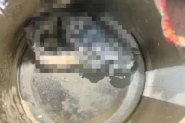 「有人搞事！」旺旺三公子回應牛奶疑喝出老鼠，當事人稱異物各取一半等檢測