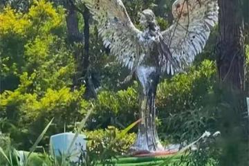 李玟墓地里的雜草被清除!環境比以前更好,粉絲忙去悼念