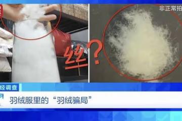 央視曝光「羽絨騙局」!你的孩子可能正在穿