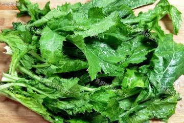 冬天,吃菠菜芹菜不如吃它,全身是寶,鮮嫩營養高,不懂吃真可惜