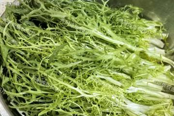 冬天使勁吃這菜!一清肝、二去火、三排毒、四護眼,中老年要常吃