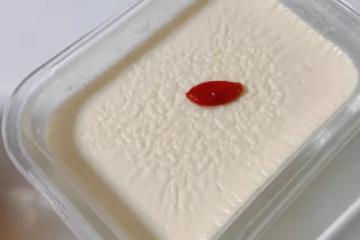 消耗蛋白：懶人版雙皮奶