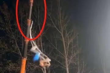 河南一雜技演員表演時繩子斷裂墜落,直播間千人目睹