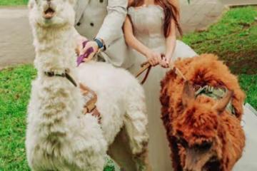 去年才離婚...10億女神爆復合前夫! 婚紗照曝光「還要泰國辦婚禮」