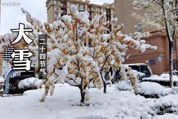 「大雪不補，來年受苦」12月6日大雪，再忙別忘「吃3樣，做2事」