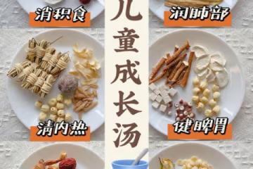 廣東媽媽經常會給孩子煲的湯水系列(2)