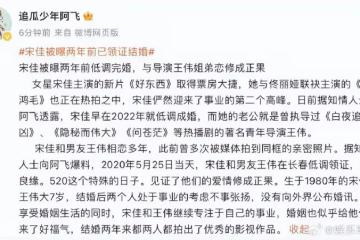 宋佳被曝和小七歲導演結婚!她與陳龍張黎黃少峰鬧過緋聞