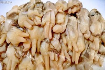 冬天這肉使勁吃,一健腦、二益腎、三補虛損,鮮美營養高,別錯過