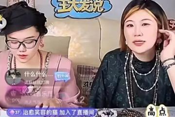 吳奇隆被曝已離婚!他娶劉詩詩前很落魄!若曦雍正沒緣分