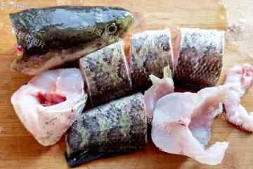 大補的魚，不是鯽魚鱸魚，是這4種，健脾養胃補氣血，祛濕強身體