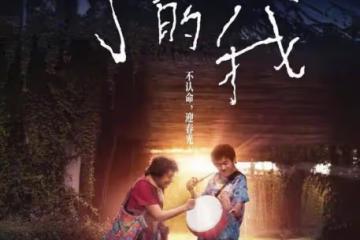 《小小的我》易烊千璽表演太精彩!弱勢群體也絕不認命