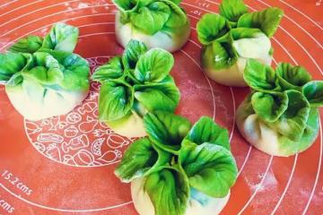 翡翠白菜餃子大全(附手法視頻)