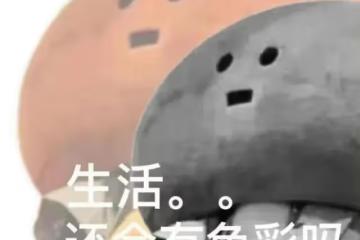 這是換了個頭嗎…