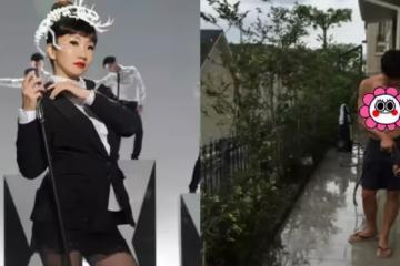 陶晶瑩罕曬豪宅內景，頭一次見陽臺上還能種樹，老公洗碗被寵成公主，網：想住你家！