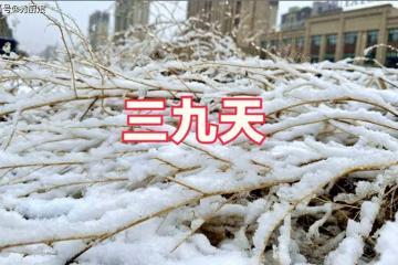 三九天,再忙也要記得「吃2樣,做1事」暖身又暖胃,冬天不怕冷!