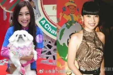 傅明憲投入動保工作20年 想拍拖公開擇偶條件
