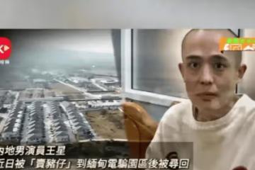 這個記者太猛了!重走王星被騙之路,曝光細節,電騙園正趕工擴建