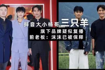 小楊哥消失三個多月，三隻羊疑有新動靜？前老闆爆料：沫沫已被保釋