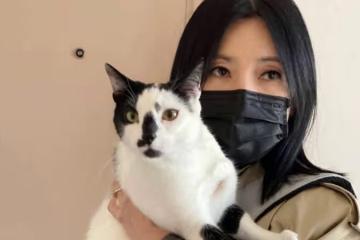 住家遭搶匪洗劫一空　歐菁仙：我現在一無所有