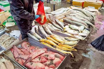 中國五大長壽食物，魚只能排到第五，第一名很多人想不到！