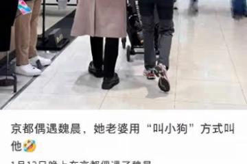 魏晨帶老婆兒子日本逛街，一家三口同框低調幸福