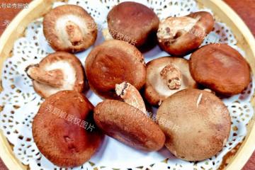 同樣是香菇,「平滑」和「有裂口」哪個好?區別很大,別買錯了!