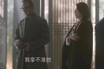 《無所畏懼2》:梅大梁被害真相曝光!許卓方麗虹聯手做局,陶正助攻
