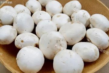 這菜富含「維生素D」,又是「天然硒庫」,鮮香滑嫩,老少都愛吃