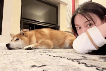 33歲鄭爽曬自畫像曝近況，身邊只有寵物不見孩子，生活依舊愜意