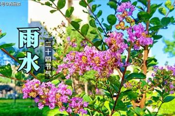 「雨水3不吃，吃了春難安」，2月18日雨水，記得忌嘴，健康迎春天