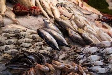 這種魚含有「一級致癌物」!醫生提醒:再饞也要忍住 ,小心致癌