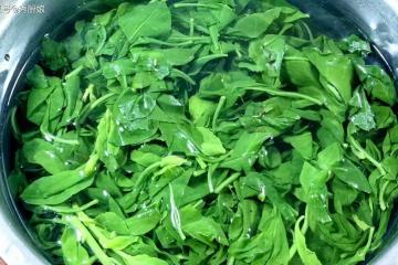 立春後是養肝黃金期，建議多吃5種蔬菜，養好肝，氣血足，顯年輕