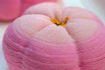 詳圖·雙色桃花酥〔中式茶點〕