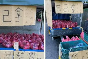 老闆還在田裡！貨車上擺火龍果「一袋100自己拿」10個小時後「回到車上秒傻住」：不愧是台灣