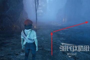 《光與影：33號遠征隊》39號日誌獲取方法