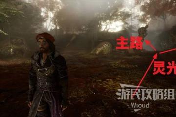 《光與影：33號遠征隊》隨機防禦獲取方法