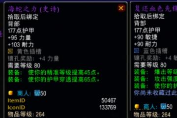 WLK懷舊服P4階段寒冰紋章牌子 牌子裝備哪些值得換