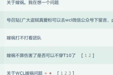 魔獸世界國服ICC P4階段WCL規則解讀 沖分指南