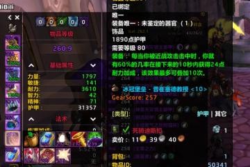 魔獸世界：ICC最坑爹的2個飾品，500金？白送都不要