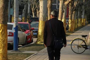 我活到69歲才發現:老了一旦失去價值,親情就會變得無情又現實