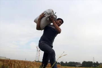 奉勸大家能在城裡買房,就不要回農村蓋房子!尤其是未婚的年輕人