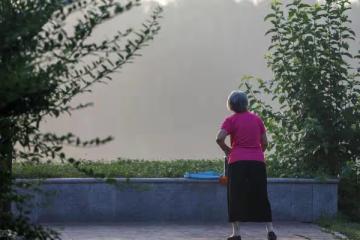 退休老人最好的愛好,不是跳舞打麻將,而是找一塊土地好好種菜
